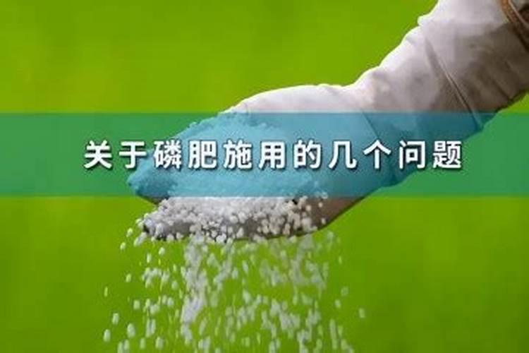 芦笋喜欢哪些肥料 适合芦笋的肥料品种