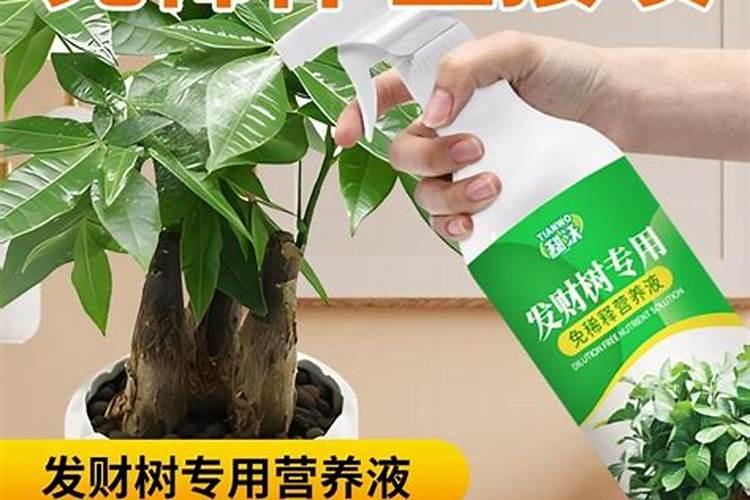 拉尔斯·巴斯特鲁普职业生涯