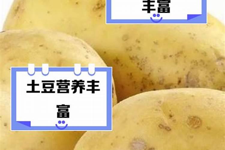 马铃薯对养分的要求