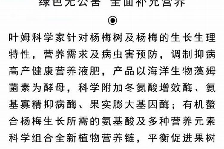 杨梅高产需要掌握哪些技巧 杨梅怎么种植