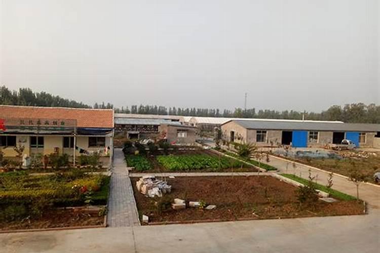 山东复合肥厂一览表