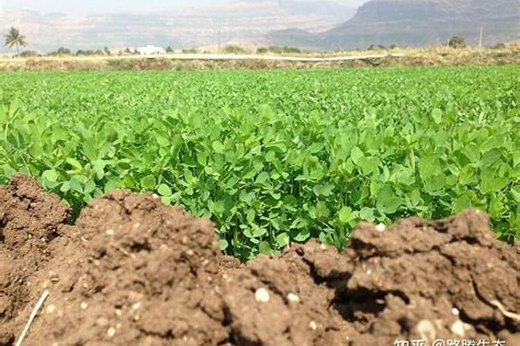 施肥过多为什么会造成土地板结？我想知道其中的原理。