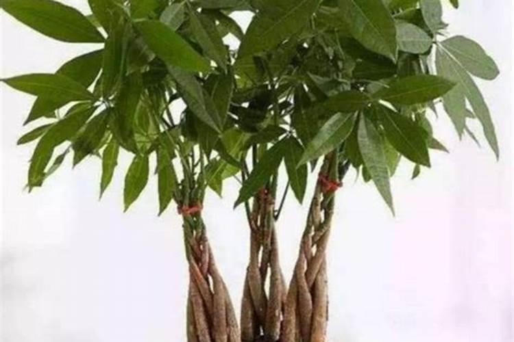 冬天水里加什么可以防冻