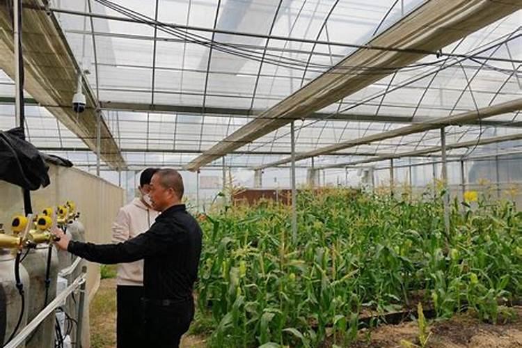 利用二氧化碳施肥的方法有哪些