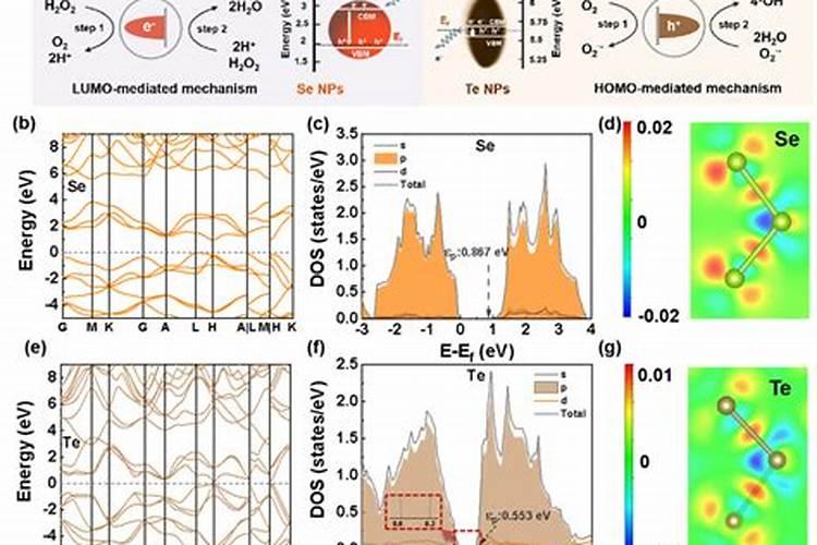 水溶肥的TE和ME区别