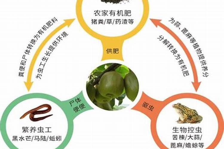 有机肥里生蛆是什么原因造成的