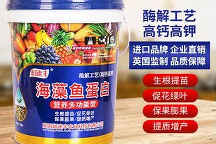 谷乐丰水溶肥价格