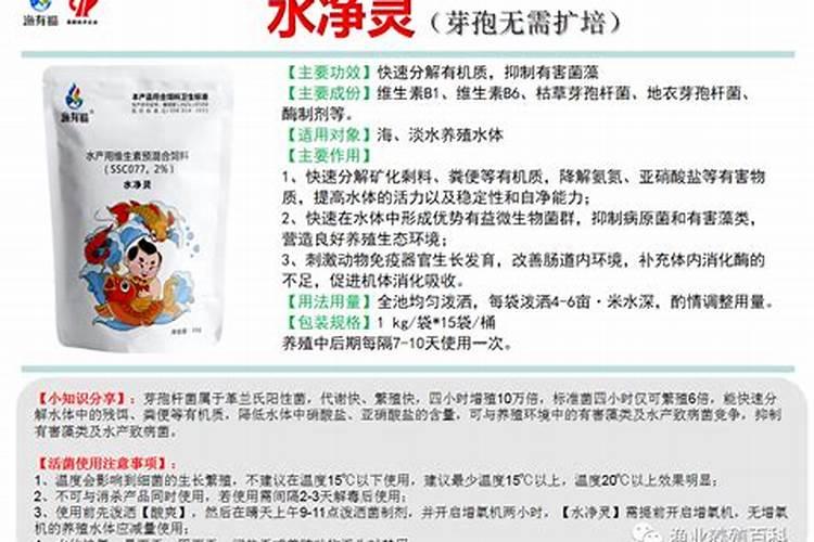 水产养殖芽孢杆菌能和氨基酸肥水产品搭配使用吗