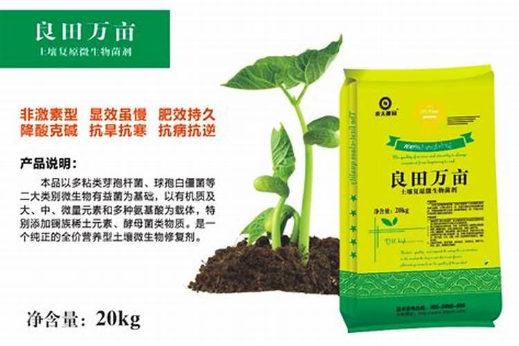 有机肥、生态肥、菌肥、菌剂、土壤调理剂的区别及优势