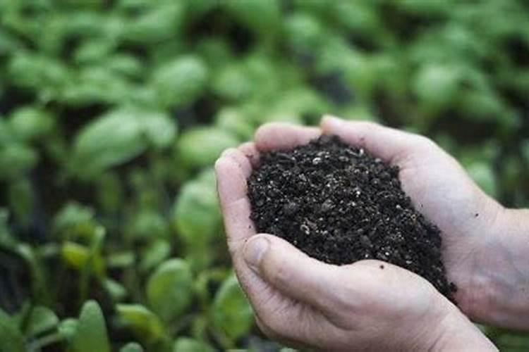 潍坊生产烧柴或颗粒的无烟炉