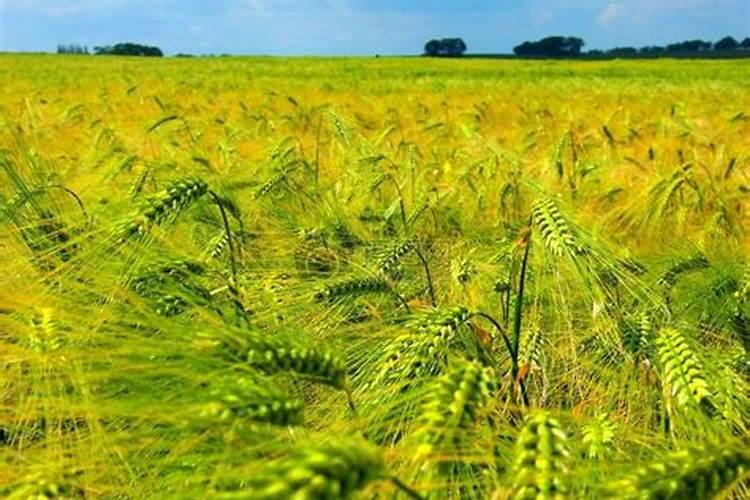 基于硫和硒的相似性及硫酸钾和硒酸钾晶型相同,