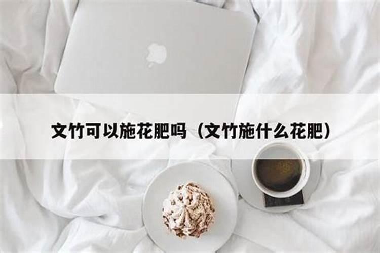 秋天兰花施什么肥料最佳