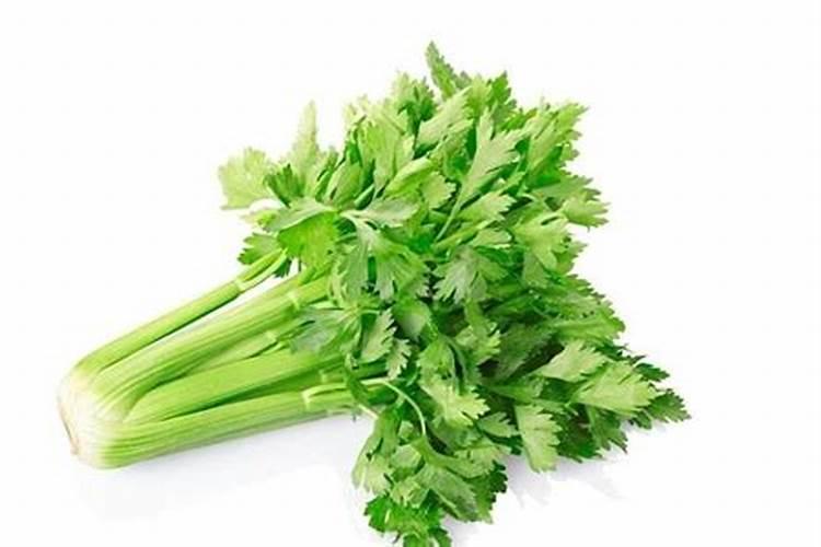 芹菜的施肥时期和芹菜的叶面肥选择