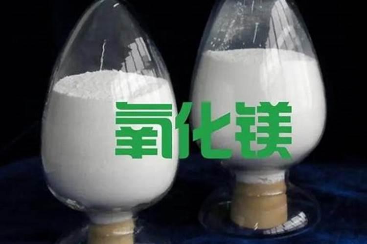 南瓜的十大秘密