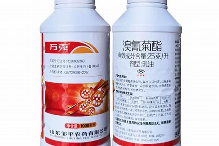 刚买回来的石榴树盆栽种植前根要打药吗？