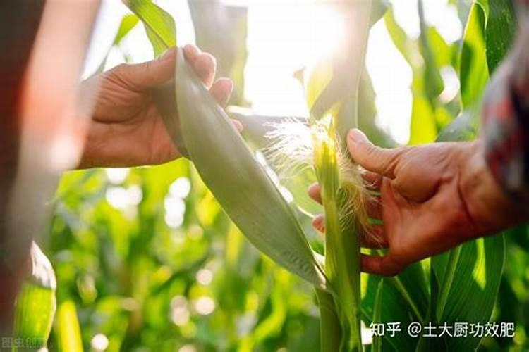 竹山旅游景点大全介绍图片 竹山风景旅游区地点在哪里