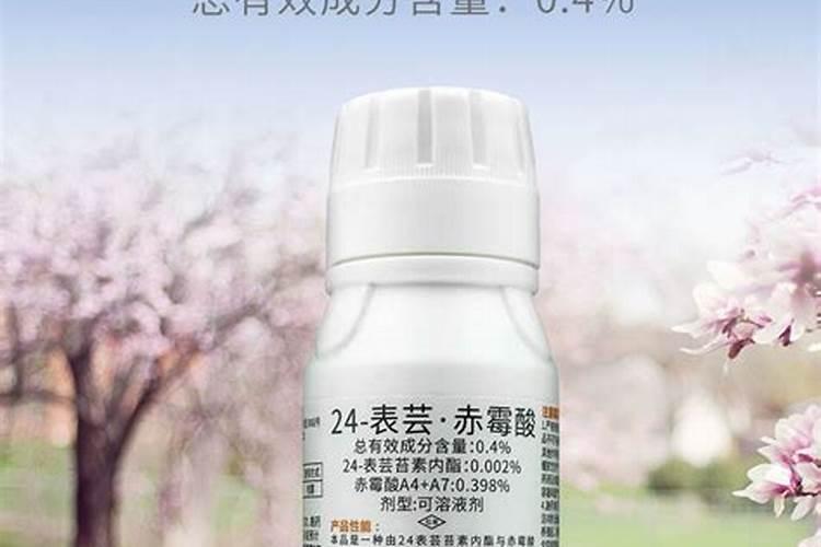 玫瑰花什么时候施肥