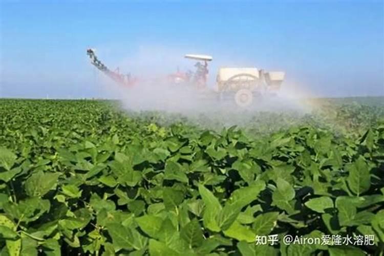 奈安大力士叶面肥价格生产地