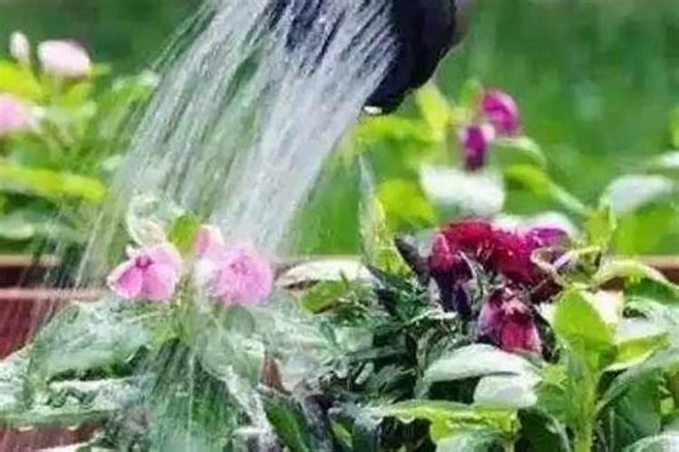 苹果树施肥时间,用什么水溶肥好