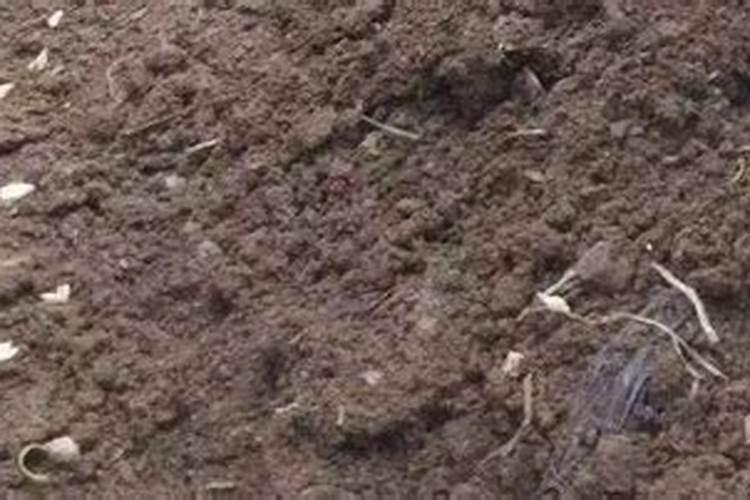 肥料施在地里不溶解,究竟是地的原因还是肥料的