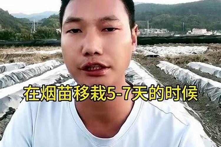 烤烟能同时用磷酸二氢钾和腈菌唑吗