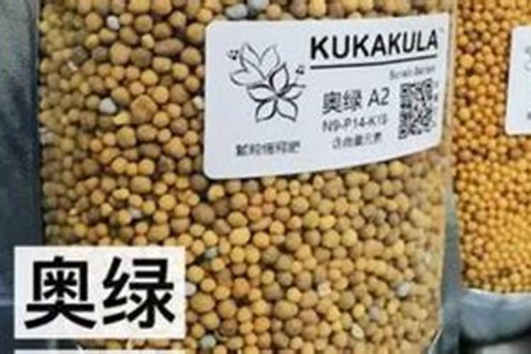 多肉怎么施肥？