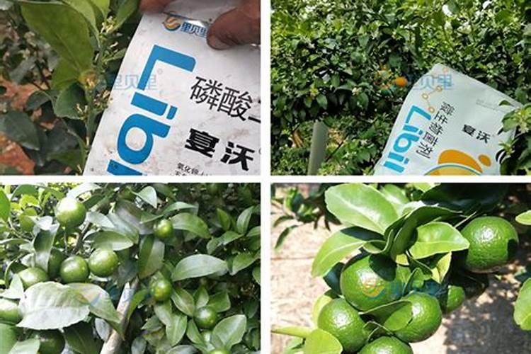 复合维生素有哪些成分 服用复合维生素片的注意事项