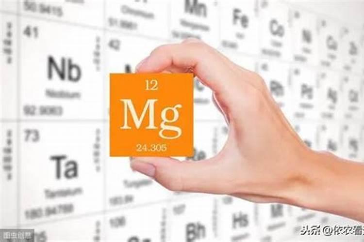 如何科学施用镁肥？