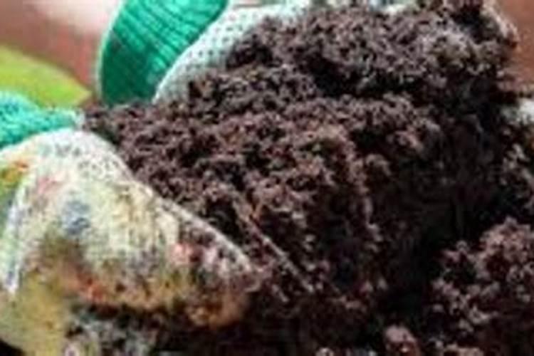 为什么一定要用有机肥？