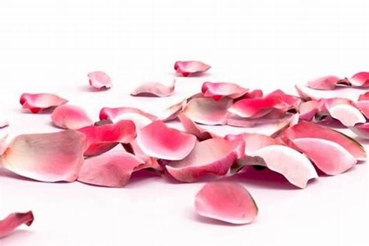 预防苹果霉心病用什么药