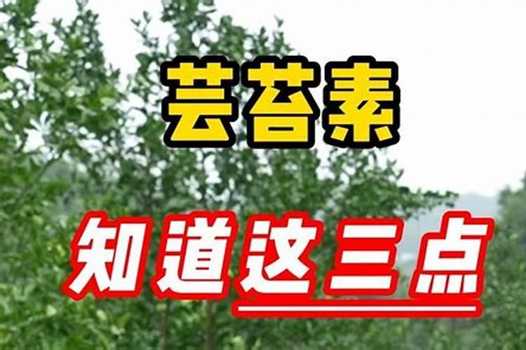 生根粉与芸苔粉的区别