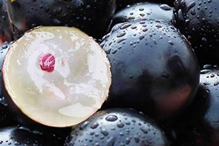 水仙一天中什么时候开放？