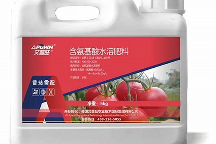 西红柿膨果用什么肥料？