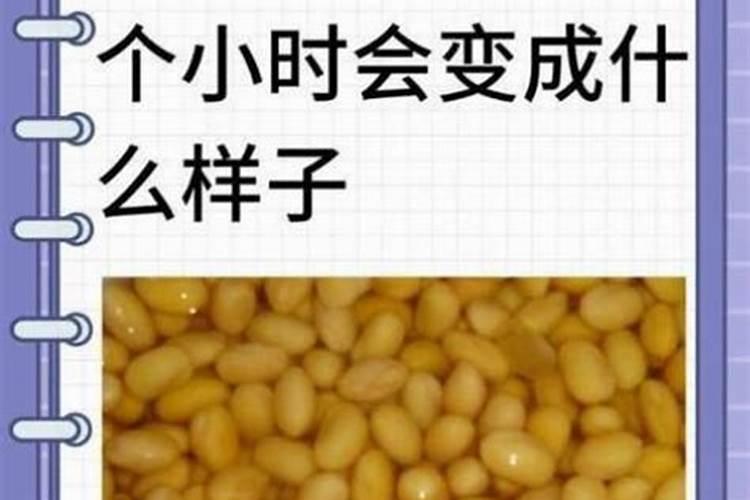 黄豆底肥下用苞米得氮钾追肥会烧豆芽吗？