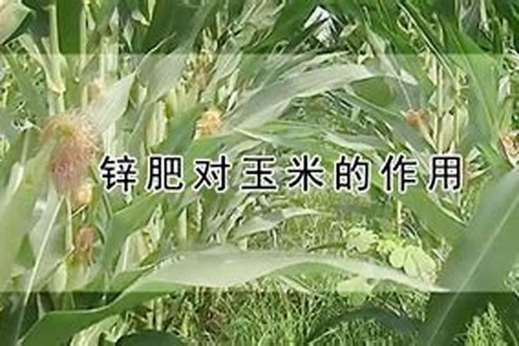 河南田壮壮生物科技有限公司怎么样？