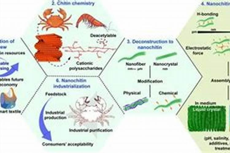 100ml水装杯子有多大？