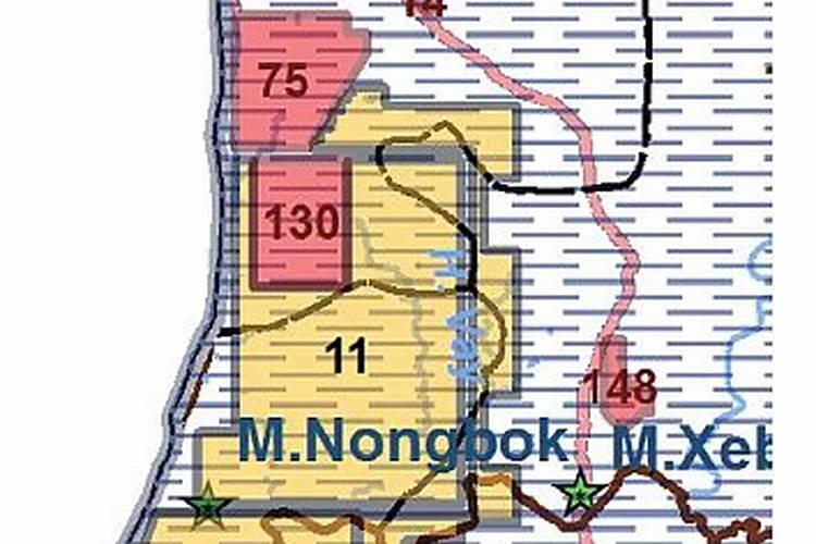 藏格矿业的矿产资源储量有多少