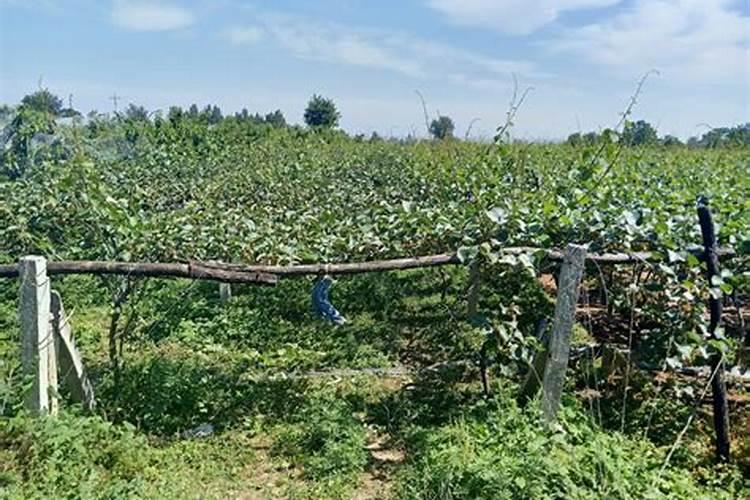 自贡水产市场在哪里