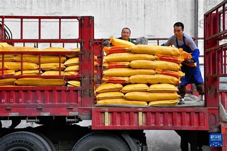 湖北宜化公司简介