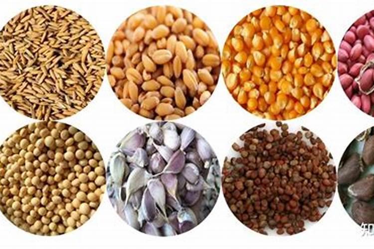 ...上什么肥好？西瓜专用肥哪家好？西瓜增甜防裂叶面肥金泰靓