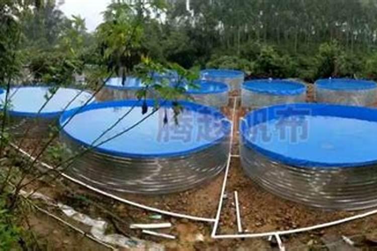 硼肥是什么肥料怎样使用