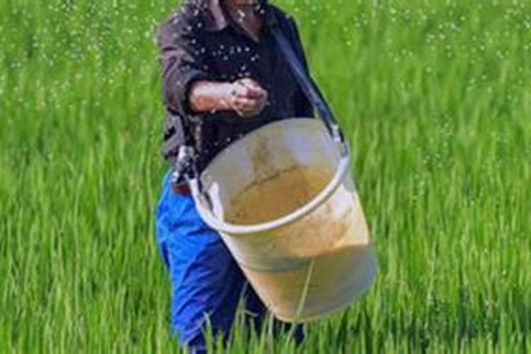 喹啉铜和氮磷钾叶面肥能混用吗？