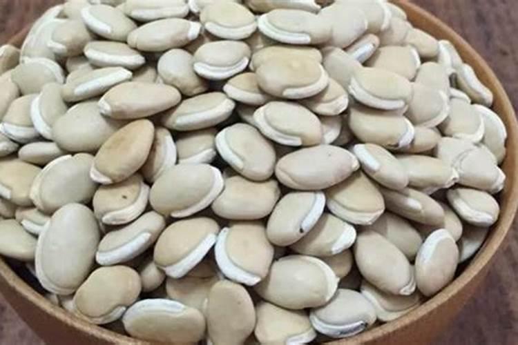 劲驼哪款肥料最好用