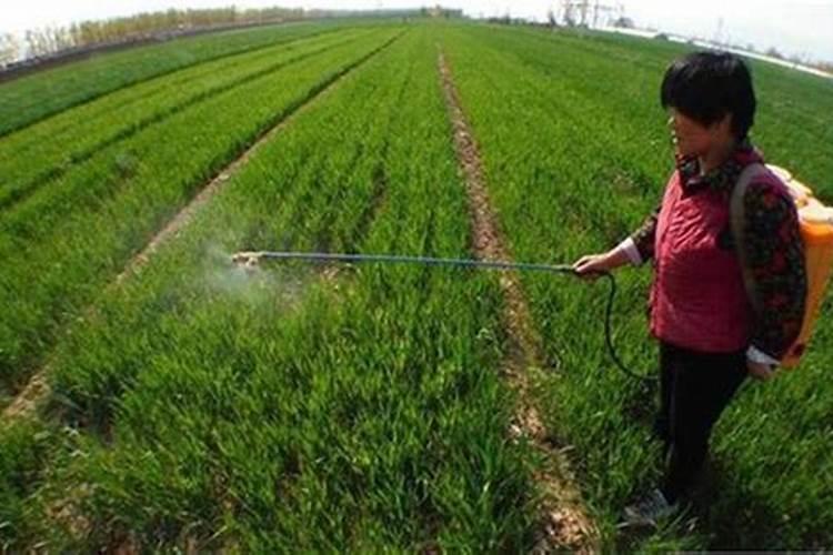 隆耕牛有机水溶肥价格表