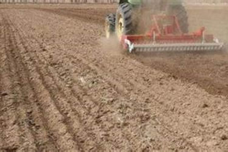 大蒜重茬上什么肥料