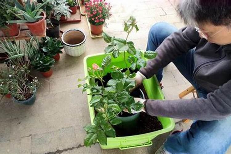 两米深六米宽150米长的水沟需要多少敌杀死药