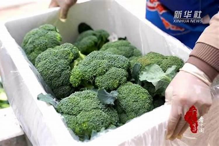 西兰花追肥用什么肥料好