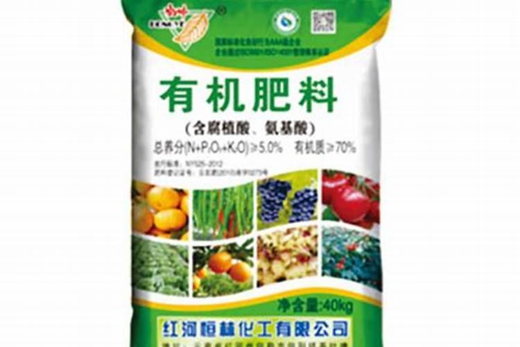 板栗发芽怎么种植图片说明