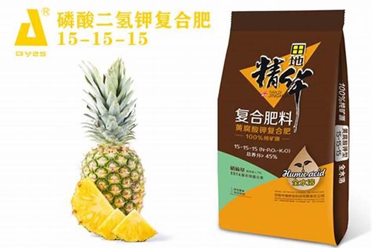 我是广东这一块的,我想种植荔枝,用冲施的方式,使用什么样的肥料比较好...