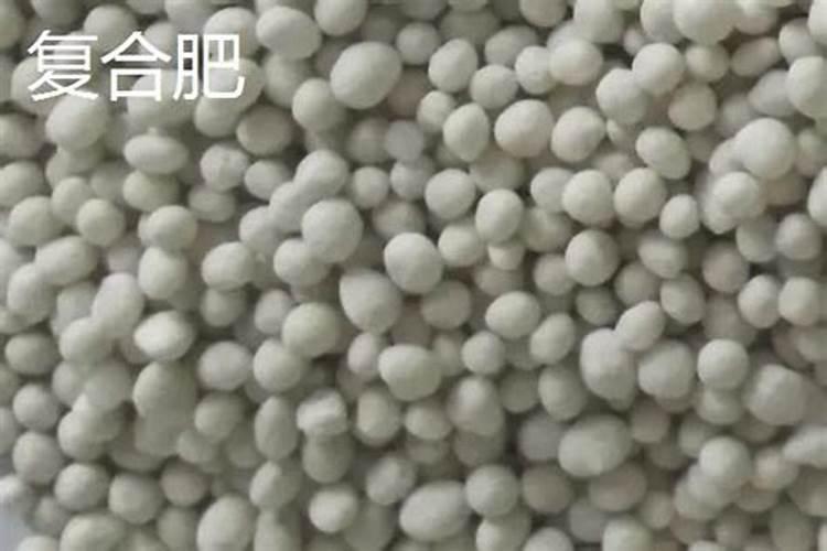 种小麦用二铵好还是用复合肥好专家建议？